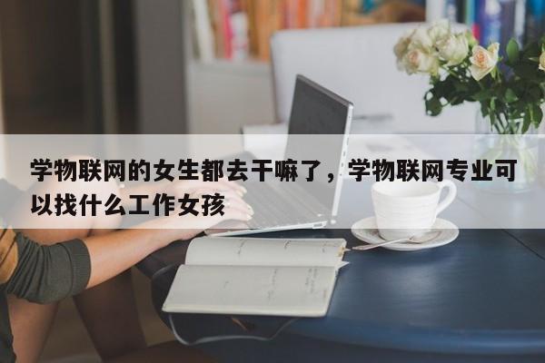 学物联网的女生都去干嘛了，学物联网专业可以找什么工作女孩