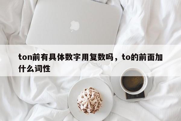 ton前有具体数字用复数吗，to的前面加什么词性