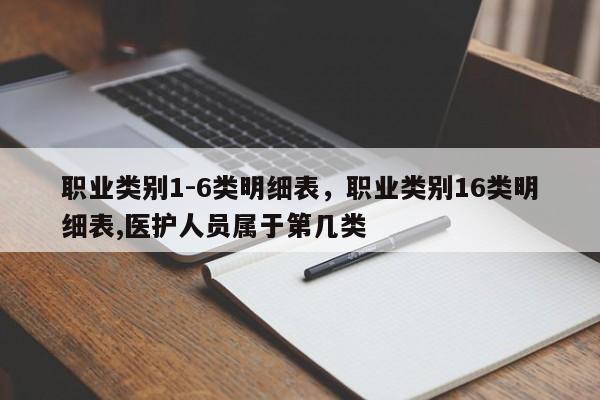 职业类别1-6类明细表，职业类别16类明细表,医护人员属于第几类