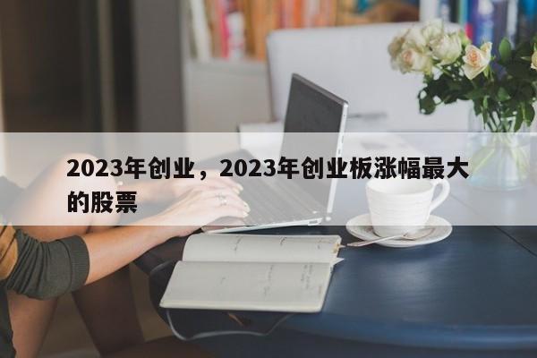 2023年创业，2023年创业板涨幅最大的股票