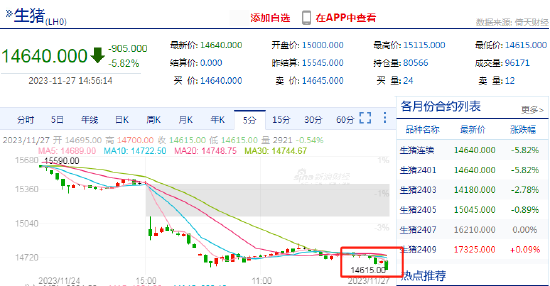 快讯：生猪期货主力合约临近收盘触及跌停