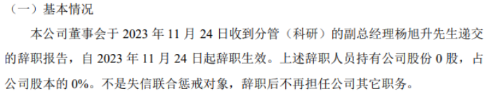 成远矿业分管（科研）的副总经理杨旭升辞职2023年上半年公司净利255.39万