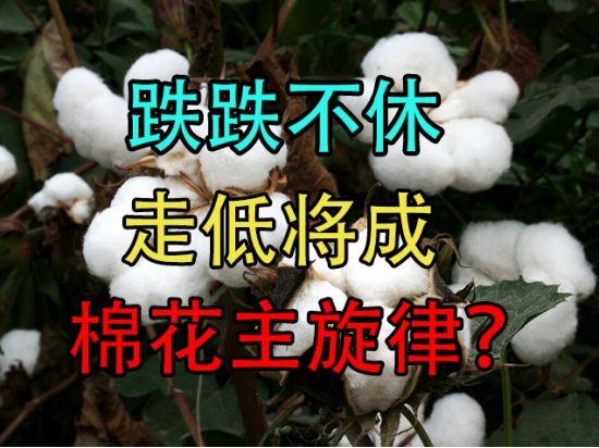 跌跌不休，走低将成棉花主旋律？