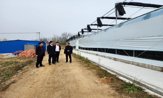 金瑞期货赴河南桐柏县开展党建共建乡村振兴结对帮扶