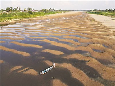 遭受前所未有干旱 亚马孙雨林今年为何这么“渴”