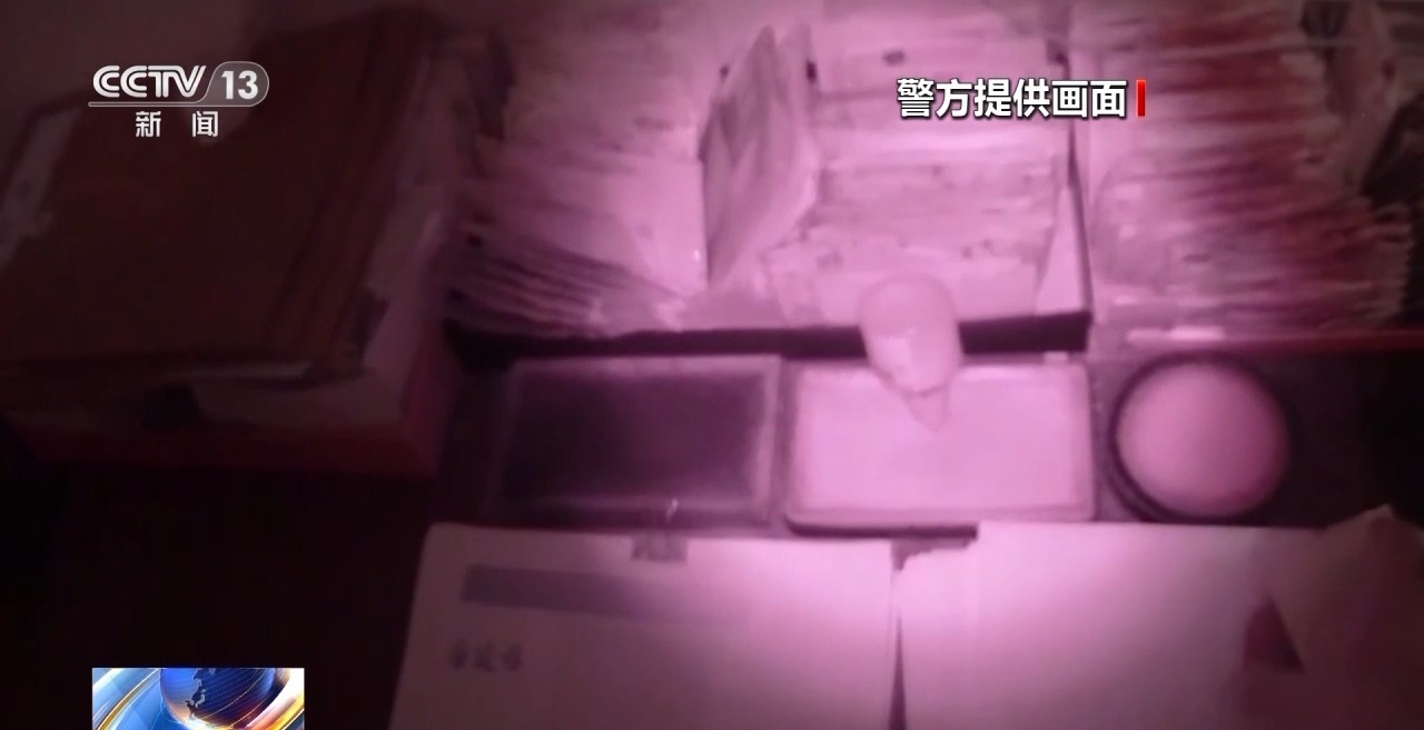 警方侦破伪造学历证书案：超万人购买，还能“网上查验”