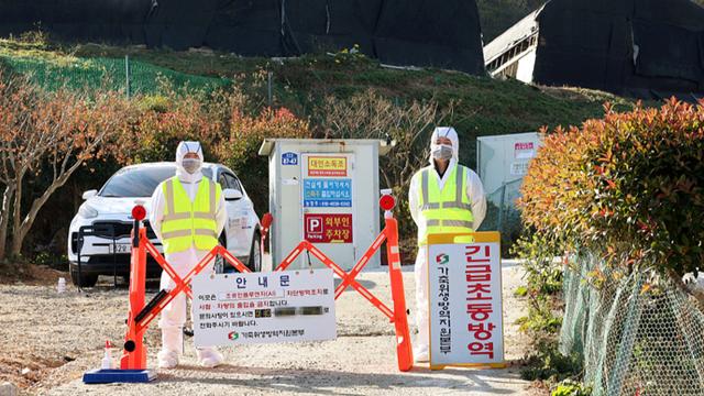 韩国又有两家养鸡场发现禽流感病例
