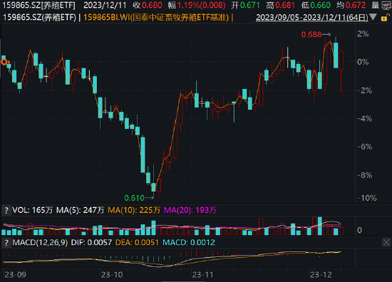 ETF日报：人工智能产业链长期基本面向好，流动性充裕叠加国产替代对科技板块构成利好，关注芯片ETF