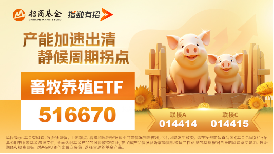 生猪期货盘中一度涨停！畜牧养殖ETF（516670）收跌0.54%，机构：产能去化或进入加速阶段