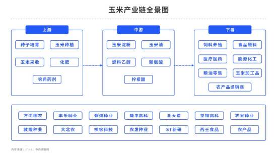 跌跌不休，玉米底在哪里？