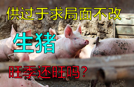 中粮期货：供过于求局面不改，生猪旺季还旺吗？