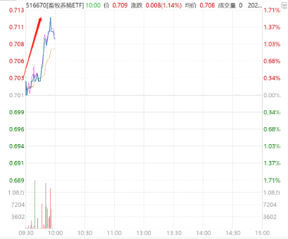 环比降1.2%，生猪产能加速回落！猪肉股异动，播恩集团三连板，畜牧养殖ETF（516670）盘中直线拉升