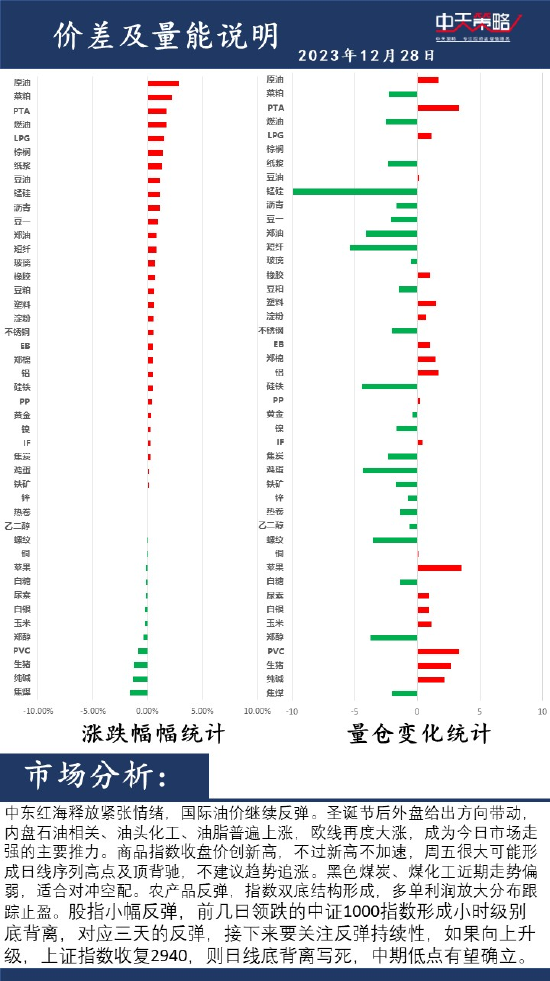 中天策略:12月28日市场分析