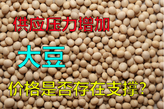 供应压力增加，大豆价格是否存在支撑？