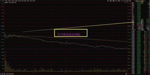 主力资金连续5日以上净流入海亮股份等50股
