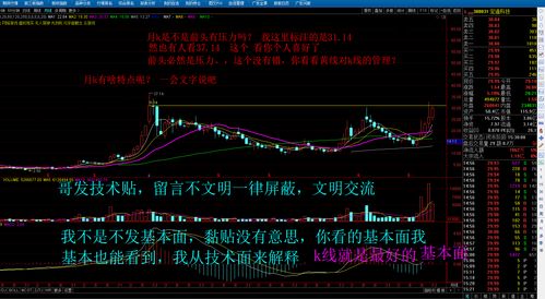 硅宝科技(300019)：Q3营收转为正增 利润率新高[20240419更新]